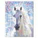 Zuty Malování podle čísel Bílý kůň