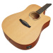 Tanglewood TR 5 CE