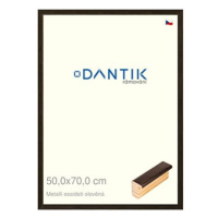 DANTIK rámeček 50 × 70, Metalli oidati olověný plexi čiré