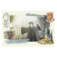 Umělecký tisk Harry Potter - Expelliarmus, 40 × 26.7 cm