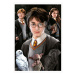 Puzzle Miniature series Harry Potter 1 Educa 1000 dielov a Fix lepidlo EDU19490