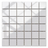 Mozaika Blanco Brillo (4,8x4,8) 30/30