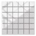 Mozaika Blanco Brillo (4,8x4,8) 30/30