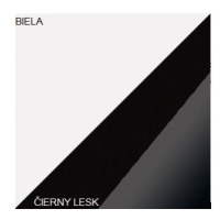 ArtCross Šatní skříň STELLA | STE-05 Barva: Bílá / černý lesk