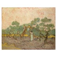 Obrazová reprodukce The Olive Pickers, Saint-Remy, 1889, Vincent van Gogh, 40 × 30 cm