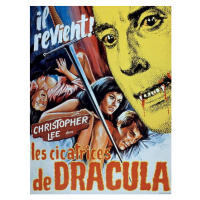 Fotografie Dracula, 1970, 30x40 cm