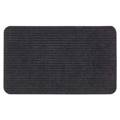 Rohožka 45x75 cm Mix Mats – Hanse Home