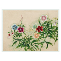 Obrazová reprodukce Pinks (Multicoloured Asian Floral) -  Zhang Ruoai, (40 x 30 cm)