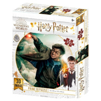 3D puzzle Harry Potter - Harry Potter 300ks