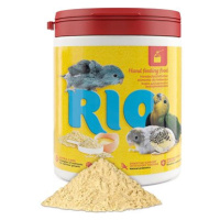 Rio dokrmovací směs pro velké papoušky 400 g