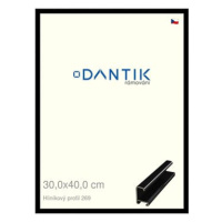 DANTIK rámeček 30 × 40, ALU profil 7269 Černý lesklý plexi čiré