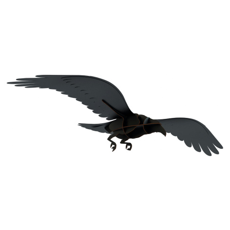 Ibride designové dekorace Ravens Adam