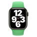 Apple Watch 41mm jasně zelený sportovní řemínek Jasně zelená