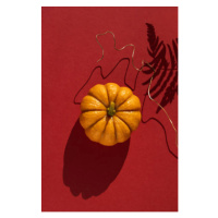 Fotografie Pumpkin, shadow of fern leaf and copper on red background in brightly lit., Olga Zary