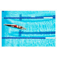 Fotografie Female competitive swimmer diving into pool, Thomas Barwick, (40 x 26.7 cm)