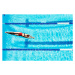 Fotografie Female competitive swimmer diving into pool, Thomas Barwick, 40x26.7 cm