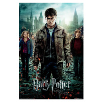 Plakát Harry Potter - Deathly Hallows (53)