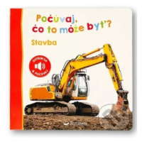 Počúvaj, čo to môže byť?: Stavba - kniha z kategorie Naučné knihy