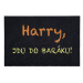 Mujkoberec Original Rohožka Harry 40 × 60 cm