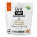 Brit Care Dog Hypoallergenic Dog Show Champion 1kg