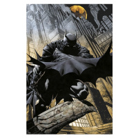Plakát DC Comics - Batman (135)