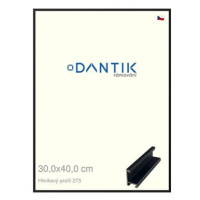 DANTIK rámeček 30 × 40, ALU profil 7273 Černý matný plexi čiré