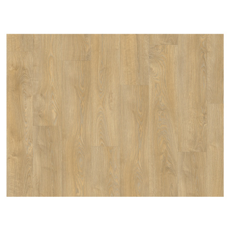 AVVIO - Sommerset Oak 22342 IVC Group