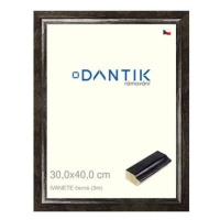 DANTIK rámeček 30 × 40, IVANETE černý plexi čiré