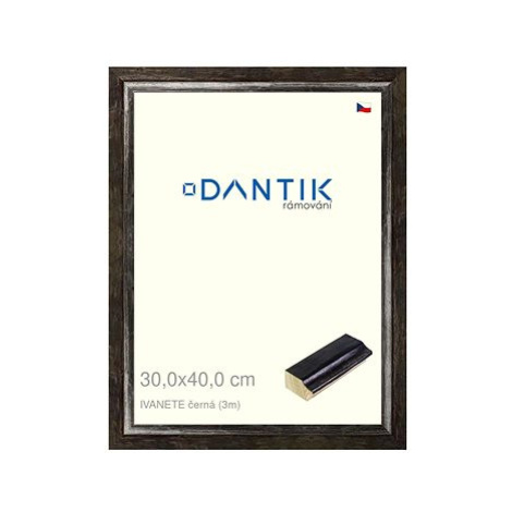 DANTIK rámeček 30 × 40, IVANETE černý plexi čiré