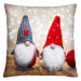 Vánoční polštář s 3D aplikací GNOMES FRIENDS 40x40 cm Mybesthome Varianta: Povlak na polštář s v