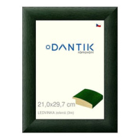 DANTIK rámeček 21 × 29,7, LEDVINKA zelený sklo čiré