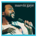 Gaye Marvin: The Concert Anthology (2x CD) - CD