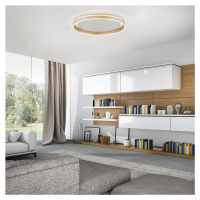 Q-Smart-Home Paul Neuhaus Q-VITO LED stropní svítidlo, Ø 60 cm