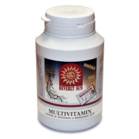 Multivitamin-minerál se ženšenem + koenzym Q10 100 tablet