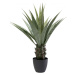 KARE Design Dekorativní rostlina Agave 85cm