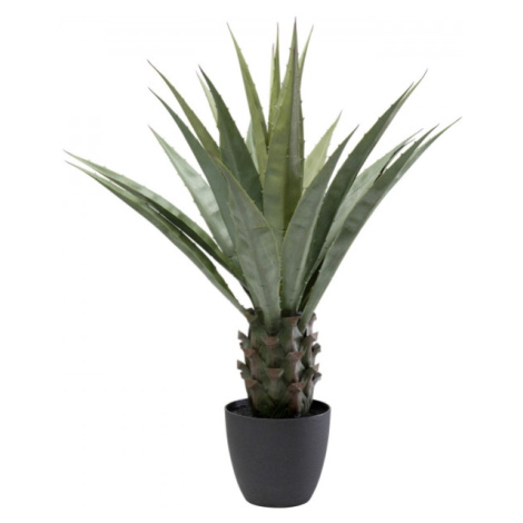 KARE Design Dekorativní rostlina Agave 85cm
