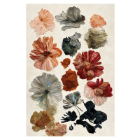 Ilustrace Dry Flower Collection, Treechild, (26.7 x 40 cm)