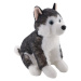 Husky sedící 20 cm