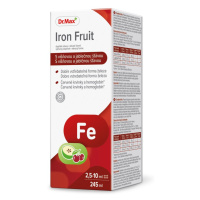 Dr. Max Iron fruit 245 ml