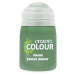 Citadel Shade Paint - Kroak Green (18 ml)