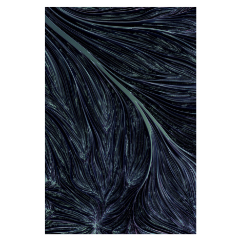 Fotografie Abstract texture patern of a neural link series  1, Javier Pardina, (26.7 x 40 cm)