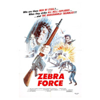 Ilustrace Zebra Force, 26.7 × 40 cm