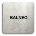 Accept Piktogram "balneo" (80 × 80 mm) (stříbrná tabulka - černý tisk bez rámečku)