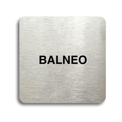 Accept Piktogram "balneo" (80 × 80 mm) (stříbrná tabulka - černý tisk bez rámečku)