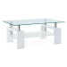 Konferenční stolek ARCHER, bílá/sklo