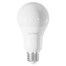 TechToy Smart Bulb RGB 11W E27 RGB