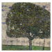 Gustav Klimt - Obrazová reprodukce The Apple Tree II, 1916, (40 x 40 cm)