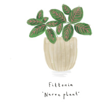 Ilustrace Nerve plant, Laura Irwin, (30 x 40 cm)