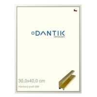 DANTIK rámeček 30 × 40, ALU profil 7269 Zlatý lesklý plexi čiré