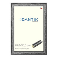 DANTIK rámeček 20 × 30, BEAUTY stříbrný sklo čiré